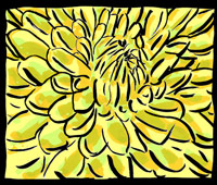 Jewels into Flowers