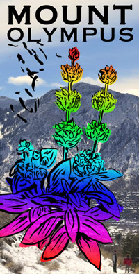 mount olympus wine